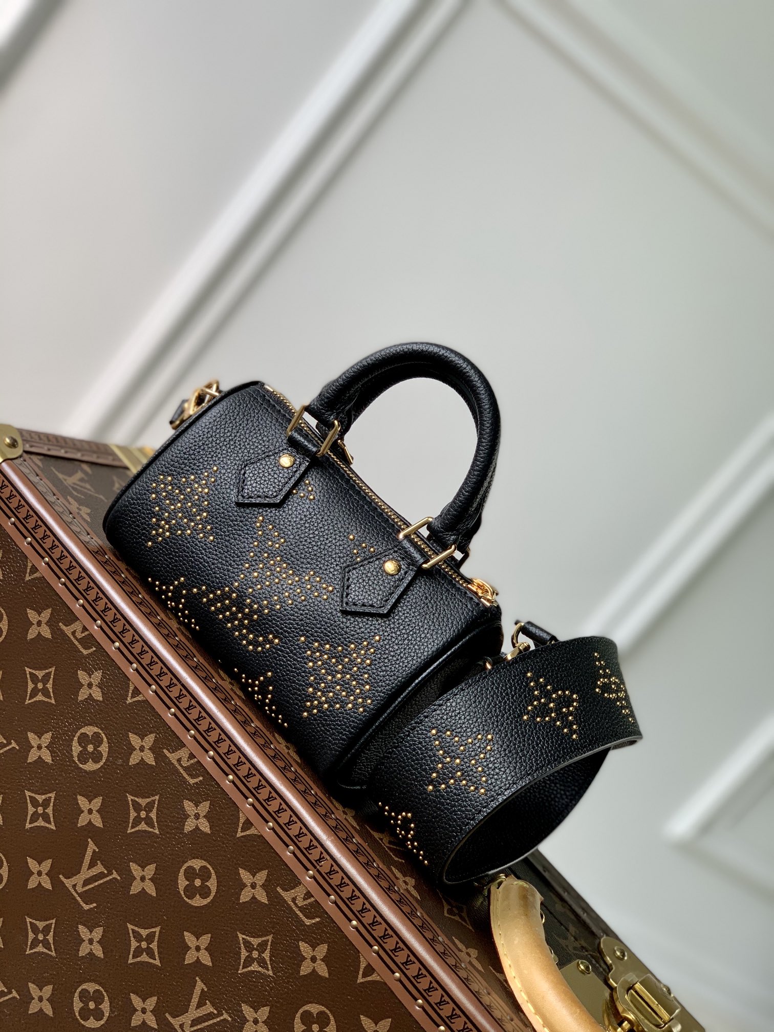 LV Speedy Bags